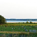 Usedomer Landschaft