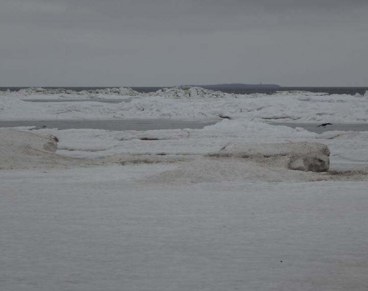 Eis auf der Ostsee - ein Naurschauspiel