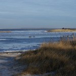 Blick auf die Insel Poel - im Winter